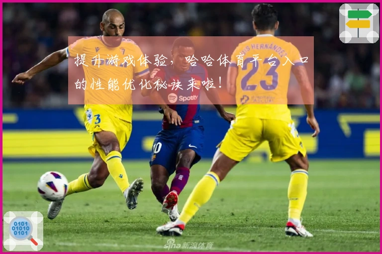 提升游戏体验，哈哈体育平台入口的性能优化秘诀来啦！
