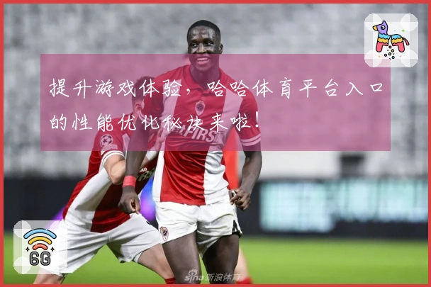 提升游戏体验，哈哈体育平台入口的性能优化秘诀来啦！