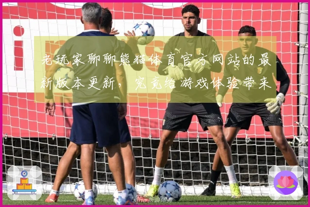 老玩家聊聊熊猫体育官方网站的最新版本更新，究竟给游戏体验带来了哪些实质变化？