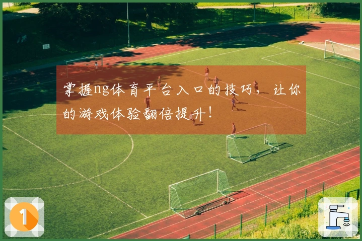 掌握ng体育平台入口的技巧，让你的游戏体验翻倍提升！