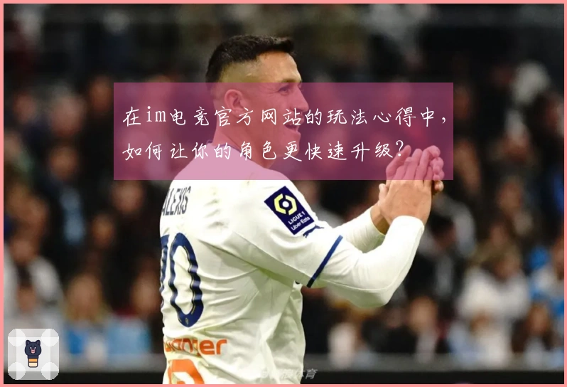 在im电竞官方网站的玩法心得中，如何让你的角色更快速升级？