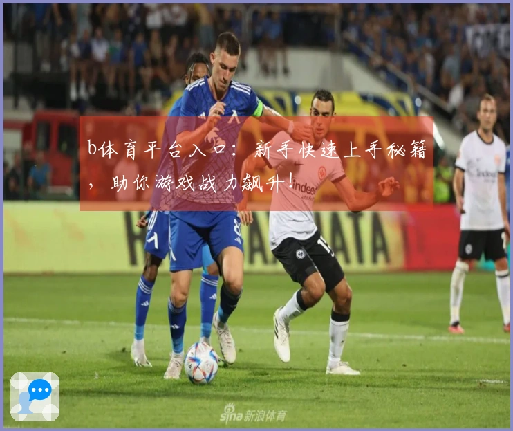 b体育平台入口：新手快速上手秘籍，助你游戏战力飙升！