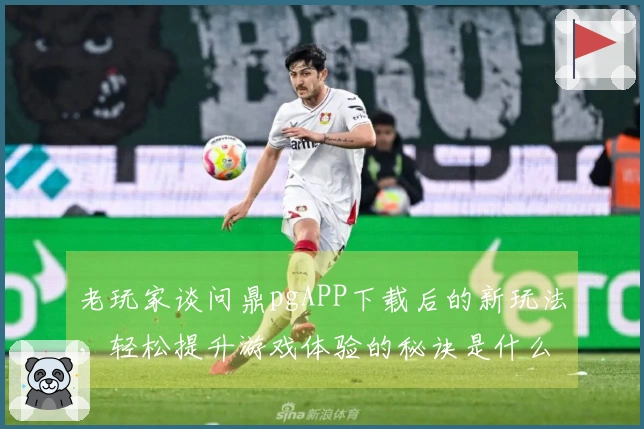 老玩家谈问鼎pgAPP下载后的新玩法，轻松提升游戏体验的秘诀是什么？